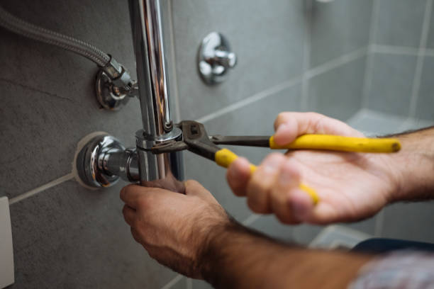 Best Plumbing Inspection Services  in Affton, MO