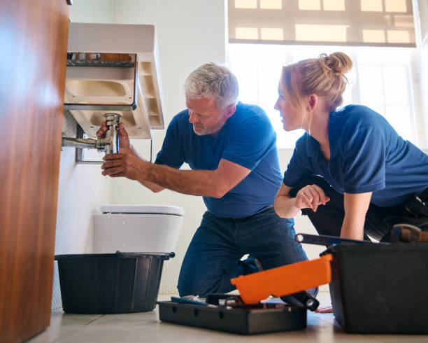 Best Sprinkler Systems  in Affton, MO