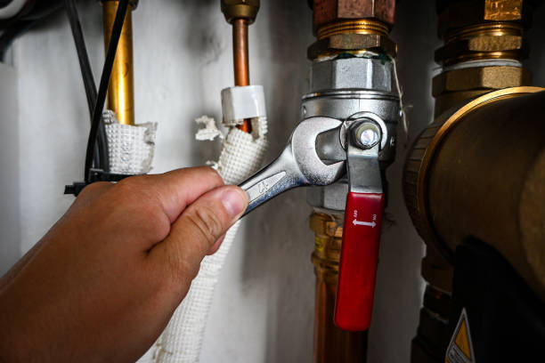 Best Shower Repair Services  in Affton, MO